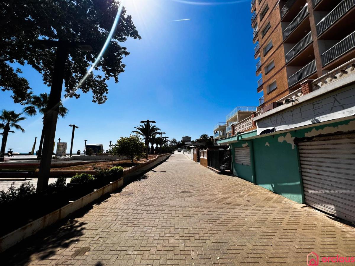 Brisa Marina Mediterranea Oropesa del Mar Eksteriør billede